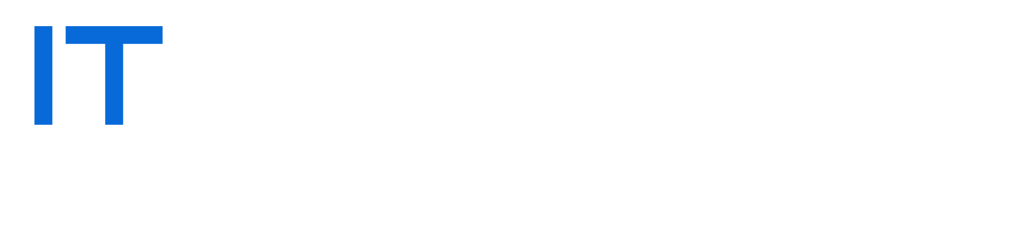 IT Control